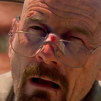 Así puedes acabar con las moscas en casa: siete trucos caseros que funcionan