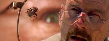 Así puedes acabar con las moscas en casa: siete trucos caseros que funcionan