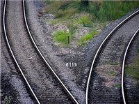 Elegir entre Autónomo o Sociedad Limitada (I): primeras consideraciones