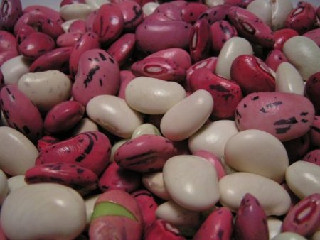 Consejos para que los niños coman más legumbres
