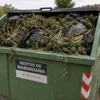 Ni amarillos, ni verdes, ni azules: los nuevos contenedores de este pueblo de Granada son para marihuana. Y están a tope