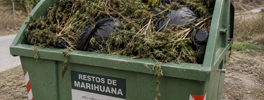 Es un contenedor para marihuana y está a tope. Además de los amarillos, marrones, azules... este pueblo ahora instala estos