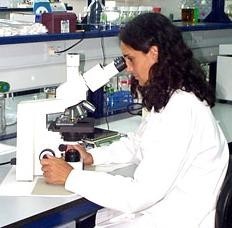 ¿Se frenan las investigaciones científicas que no aporten buenos beneficios económicos?