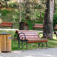 Harto de la falta de mantenimiento, un vecino de Mataró se puso a plantar árboles por su cuenta. Resultado: más de 1.700 euros de multa