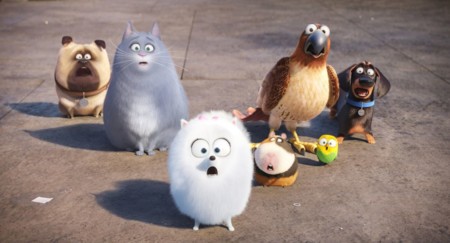¡Nuestras mascotas se han quedado patidifusas! Cazando Gangas 64
