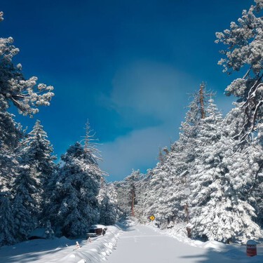 Este es el destino al norte de México donde es posible ver hermosos paisajes montañosos con nieve