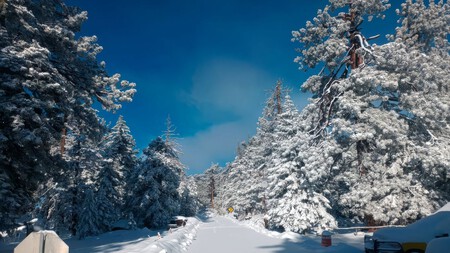 Este es el destino al norte de México donde es posible ver hermosos paisajes montañosos con nieve