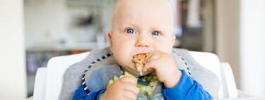 Cómo prevenir la falta de hierro en bebés alimentados con Baby Led Weaning