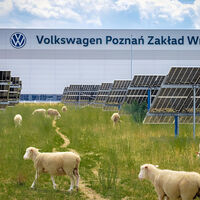 Volkswagen puso a pastar ovejas bajo 31.000 placas solares. Resulta que empezaron a cambiar la forma de producir energía 