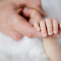 Bebés nacidos sin un brazo o sin una mano: se enciende la alarma en Francia