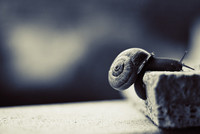 Menos derrotismo en las empresas 