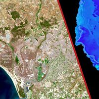 Doñana se está quedando sin agua. Las imágenes satelitales revelan la cuenta atrás para que desaparezcan las marismas