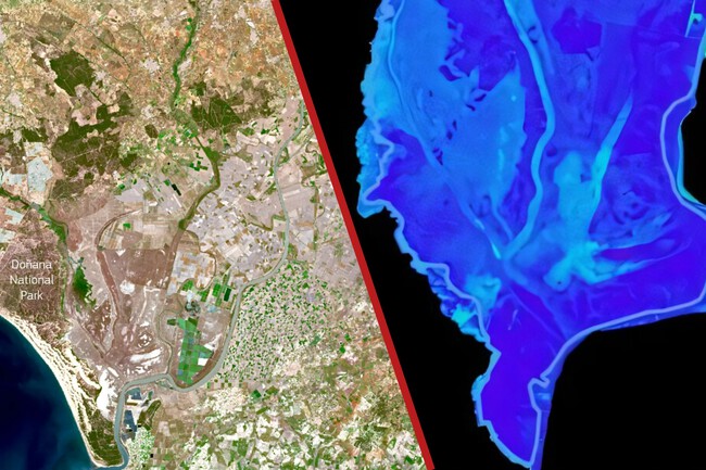 Donana Deseacion Satelite