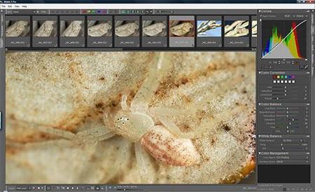 Bibble 5 Pro, revelador RAW ya disponible