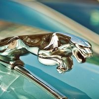 Jaguar Land Rover no quiere "amenazar a nadie", pero ante un Brexit duro abandonará Reino Unido
