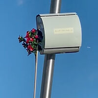 Flores "mortales". La medida radical que los ciudadanos de Nueva York han tomado contra los radares que se hinchan a poner millones en multas cada año