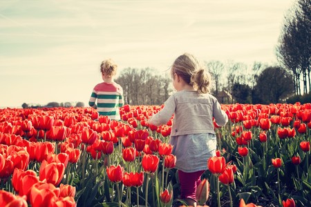 El contacto con la naturaleza es bueno para el aprendizaje: claves para que los niños dejen las pantallas y salgan al aire libre