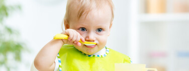 ¿Por qué antes del año tu bebé debería ir dejando los purés?