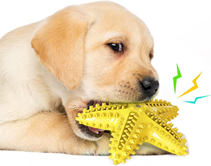 Juguetes interactivos para perros, juguetes flotantes para perros, juguetes para perros, juguetes para piscina, cachorros, suministros para mascotas, divertido juguete de piscina de verano