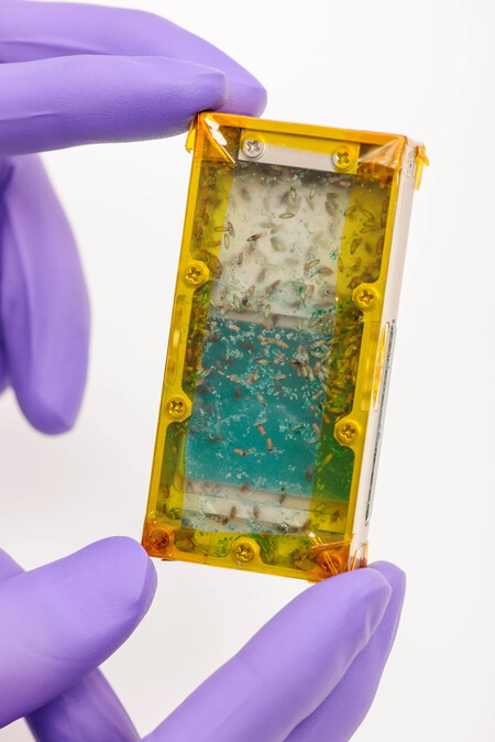 Fruit Fly Habitat For Space Mission