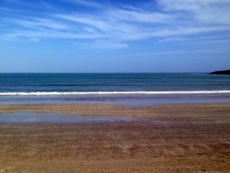 Lo que hacen las colillas que tiras en la playa en el medio marino