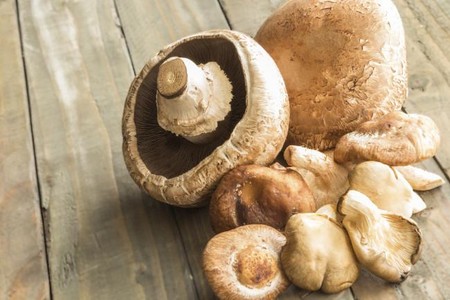 Cinco datos sobre las setas, alimentos de temporada que no puedes desaprovechar