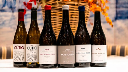 Los Vinos De Mas De Mancuso Que
