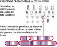 Nuevo biochip de ADN para detectar posibles anomalías en los fetos
