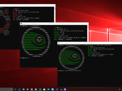 La próxima versión de Windows 10 tendrá aún mejor soporte para Linux y sus archivos
