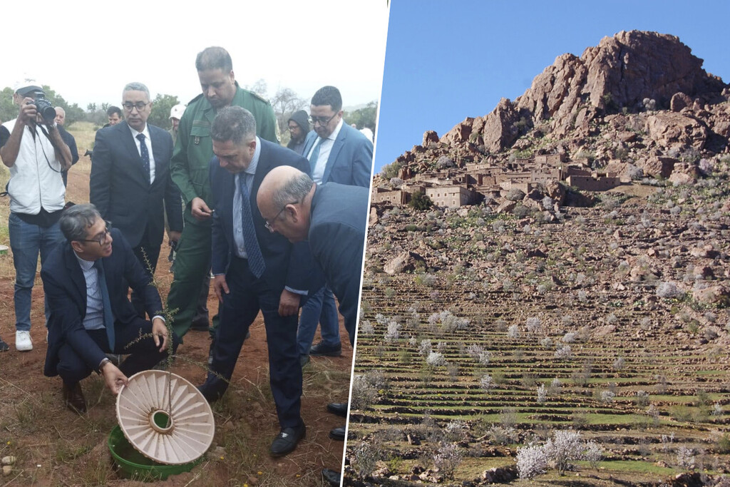 Marruecos tiene un plan para reforestar zonas áridas que ya le ha permitido ganar 1.200 hectáreas: Waterbox