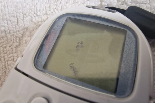 Playstation Pocket Portatil