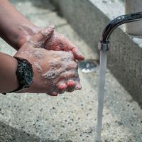 Tan solo un 2% de los autónomos afirman que su facturación ha aumentado en 2020 con respecto a 2019