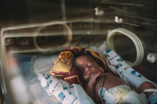 Bebê dentro de incubadora. Créditos: Jill Lehmann Photography/Getty Images