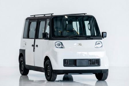 Olinia 5