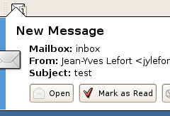 Mail Notification