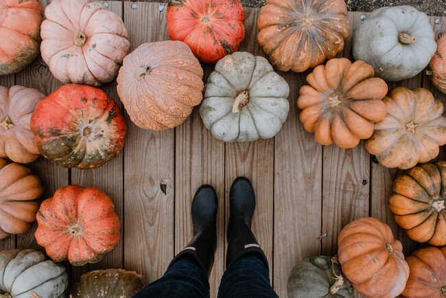 Briana Tozour I8kx6wkfzlq Unsplash