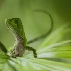 Foto 2 de 10 de la galería otros-animales en Xataka Foto