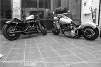 Resultados de nuestra encuesta, ¿y la ganadora es?