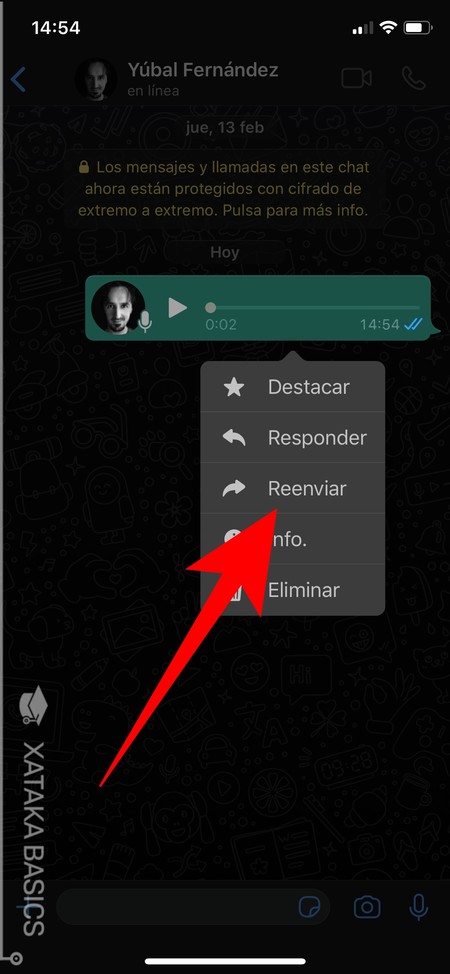 Cómo descargar audios de WhatsApp