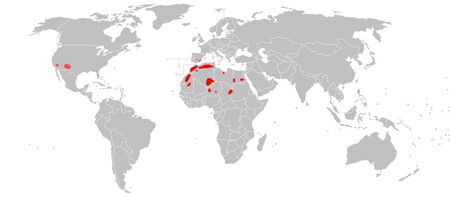 Mapa Ammotragus Lervia