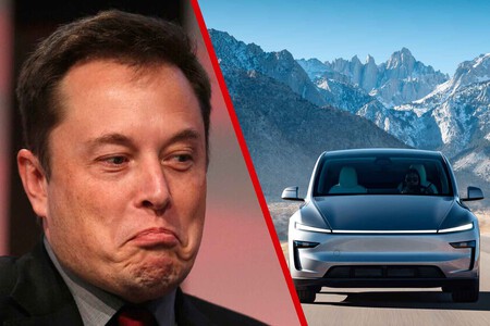 Elon Musk Tesla Model Y