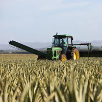 El campo está lleno de tractores de 40 años. Para los agricultores, siguen siendo más eficientes