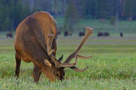 Objetos perdidos en coches de alquiler