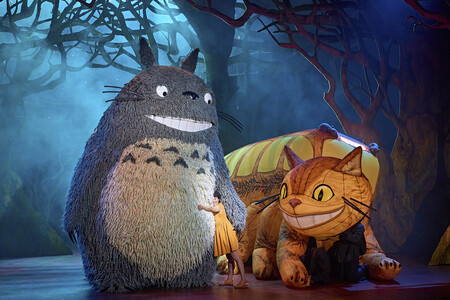 Mi Vecino Totoro