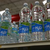 Las botellas de agua usadas pueden tener una segunda vida en tu terraza o jardín. Así puedes aprovecharlas y además ahorrar