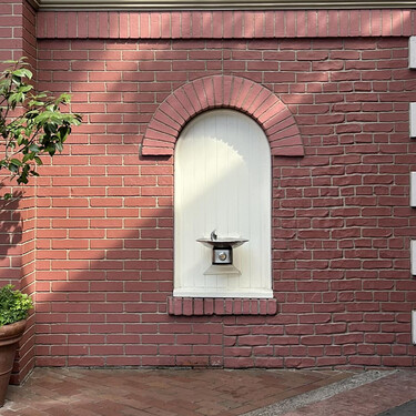 Disneyland Pared