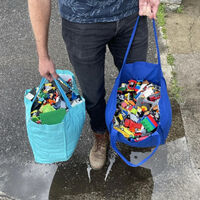 Solo iba a tirar unas botellas vacías. Al hacerlo se encontró con dos bolsas llenas hasta arriba de piezas y figuras de LEGO 