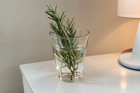 Rama De Romero En Un Vaso