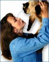 La toxoplasmosis, el peligro de un gato si estás embarazada