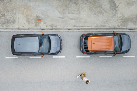 SEAT tendrá un nuevo servicio de movilidad para finales de año